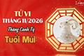 Tử vi tháng 11/2026 tuổi Mùi âm lịch: Cẩn trọng thị phi, nên giữ tiền ổn định