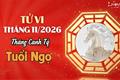 Tử vi tháng 11/2026 tuổi Ngọ âm lịch: Gánh trên vai Xung Thái Tuế, đề phòng biến động