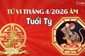 Tử vi tháng 4/2026 tuổi Tý âm lịch: Vì nóng tính mà hỏng việc