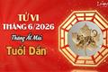 Tử vi tháng 6/2026 tuổi Dần âm lịch: Chương mới đầy hứa hẹn nhưng cũng không ít thách thức