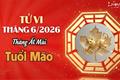Tử vi tháng 6/2026 tuổi Mão âm lịch: Thận trọng trước nhiều biến động đan xen