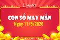 Con số may mắn hôm nay 11/5/2026 theo năm sinh kéo TIỀN tài về nhà