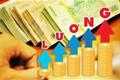 Nửa cuối năm 2026 Thần Tài điểm mặt gọi tên 5 tuổi dễ được tăng lương: Không chỉ LƯƠNG CAO mà còn có LẬU cực dày