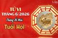 Tử vi tháng 6/2026 tuổi Hợi âm lịch: Vận khí đang may có thể suy giảm bất ngờ