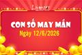 Con số may mắn hôm nay 12/6/2026 lấp đầy ví tiền của 12 con giáp