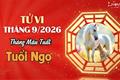 Tử vi tháng 9/2026 tuổi Ngọ âm lịch: Vận khí khởi sắc, công danh tài lộc cùng thăng hoa