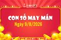 Con số may mắn hôm nay 9/8/2026 theo năm sinh hốt BẠC lớn vào ví